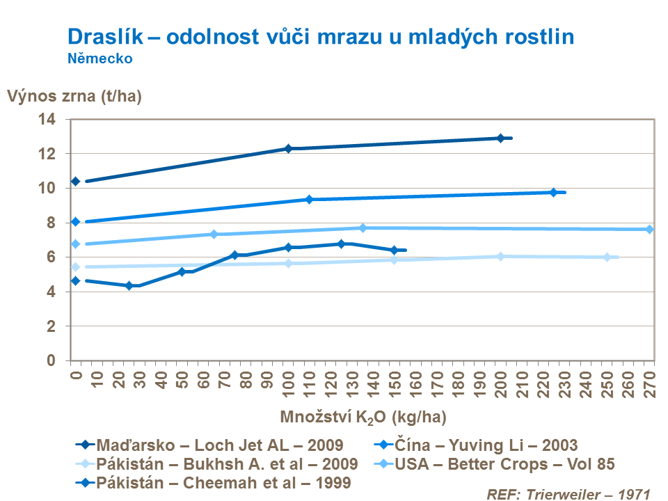 Draslík – odolnost vůči mrazu u mladých rostlin