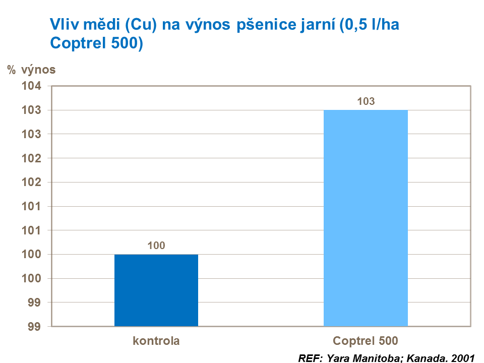 Vliv mědi na výnos pšenice jarní