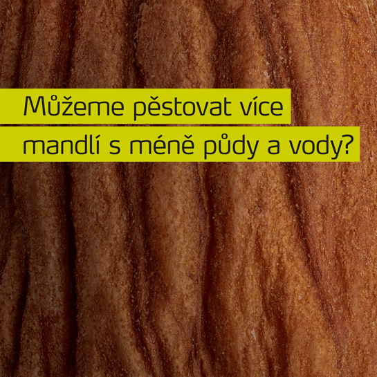 MyAlmonds - Pěstování většího množství mandlí s menším množstvím půdy a vody