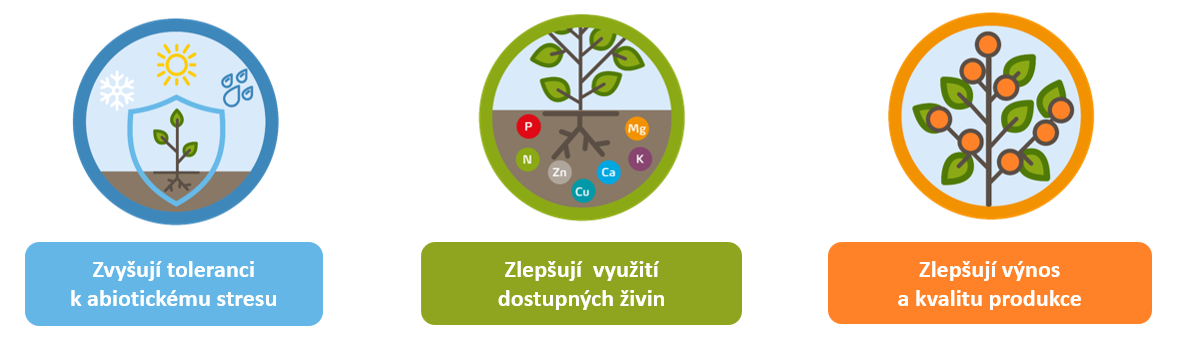 V&yacute;hody biostimulantů