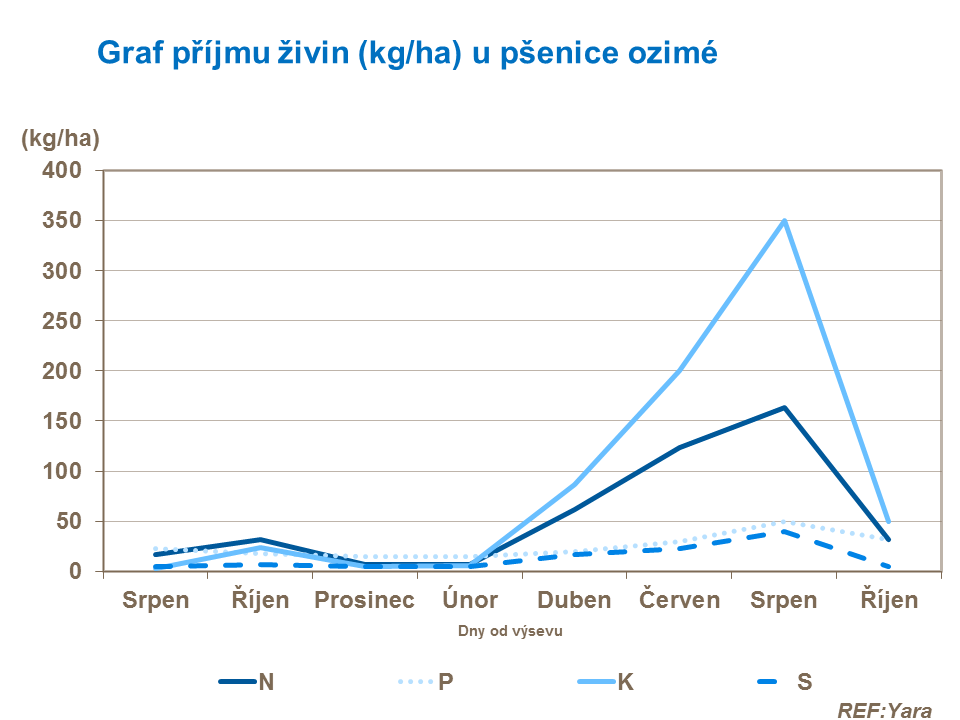 Graf příjmu živin u pšenice ozimé