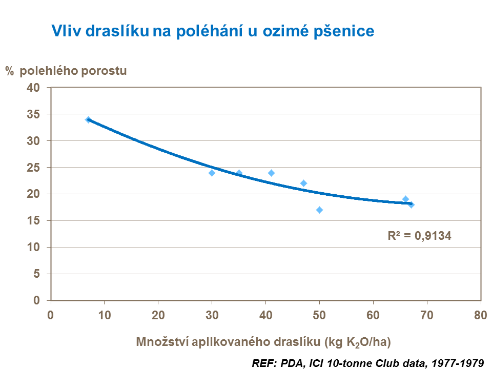 Vliv draslíku na poléhání u ozimé pšenice 