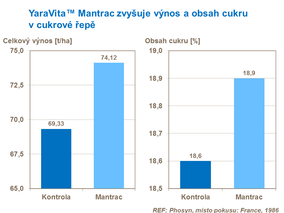 Tato studie z Francie opět prokázala vliv manganu na zvýšení výnosu a obsahu cukru v cukrové řepě.