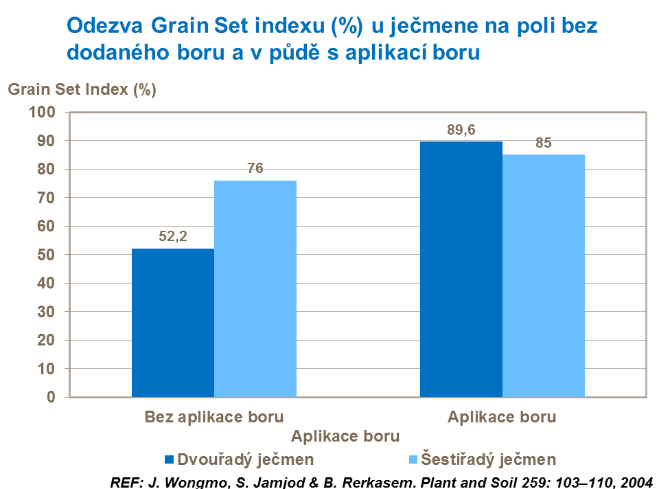 Odezva Grain Set indexu (%) u ječmene na poli bez dodaného boru a v půdě s aplikací boru