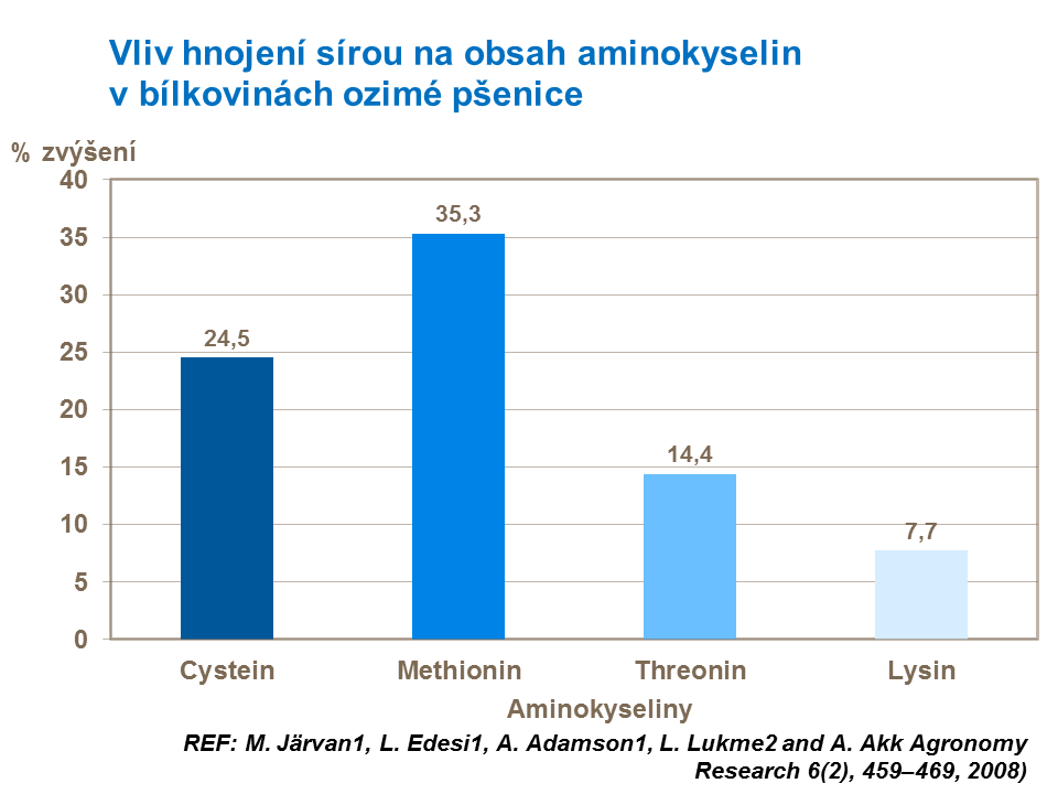 Vliv hnojení sírou na obsah aminokyselin v bílkovinách ozimé pšenice