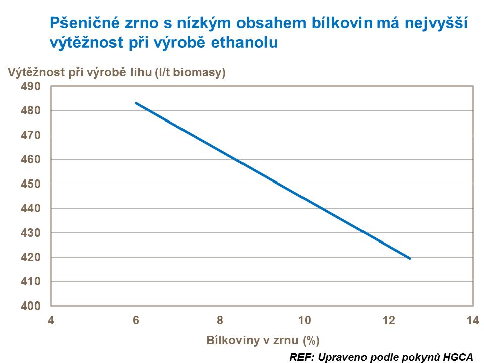 Pšeničné zrno - výtěžnost při výrobě ethanolu