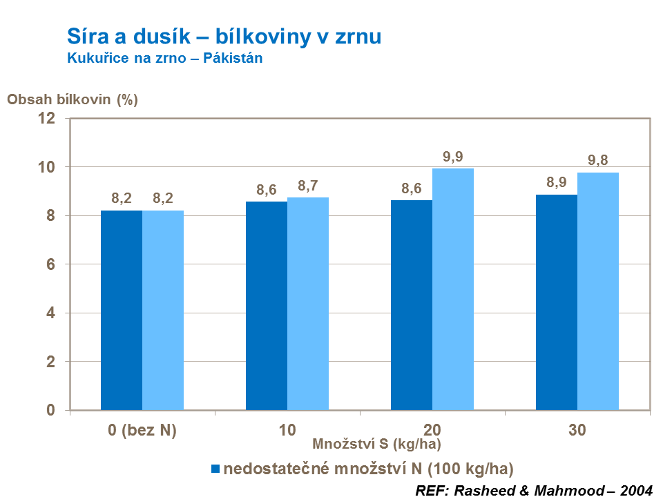 Síra a dusík – bílkoviny v zrnu
