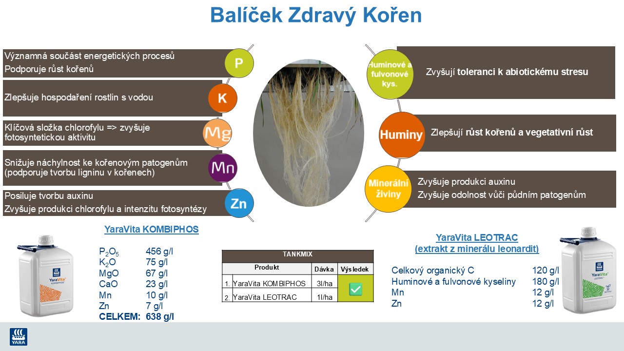 Synergie působen&iacute; listov&eacute;ho hnojiva YaraVita a biostimulantu
