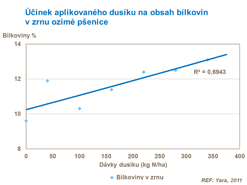  Účinek aplikovaného dusíku na obsah bílkovin v zrnu ozimé pšenice