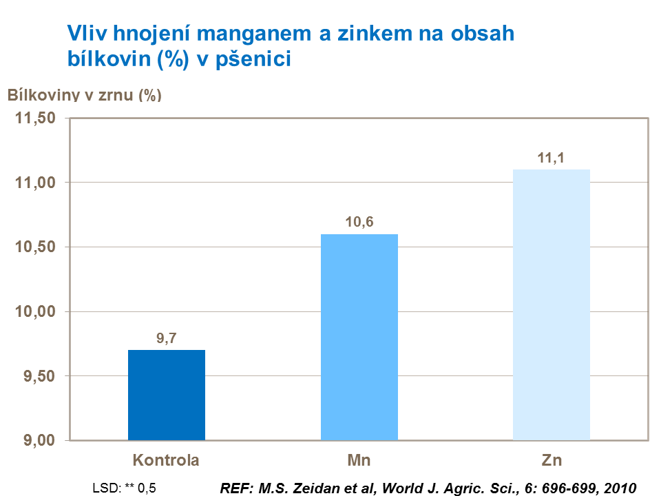 Vliv hnojení manganem a zinkem na obsah bílkovin (%) v pšenici