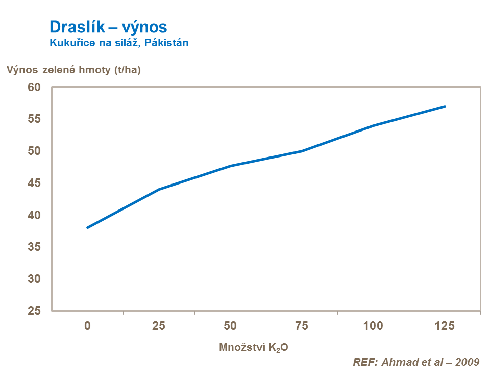 Draslík – výnos kukuřice na siláž