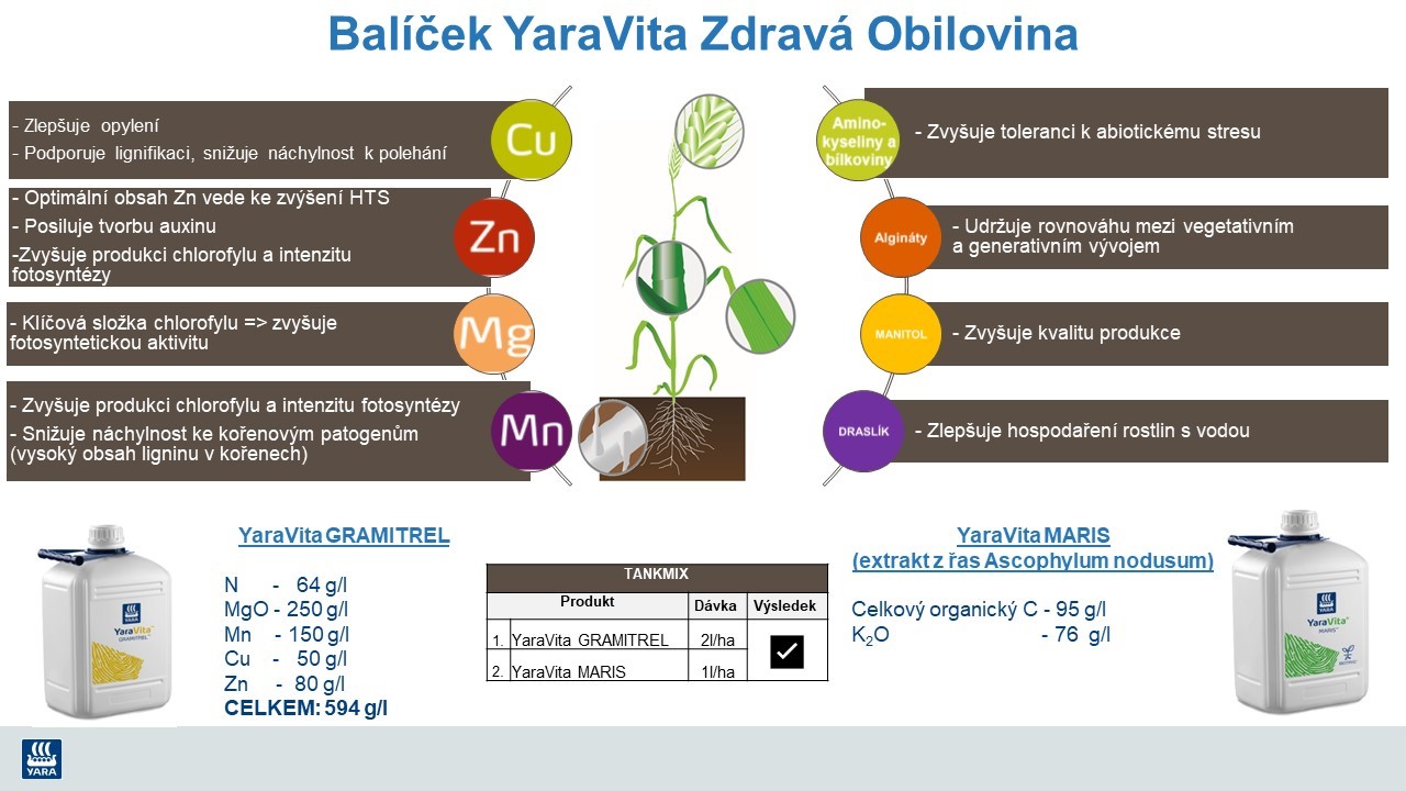 Synergie působení listového hnojiva YaraVita a biostimulantu