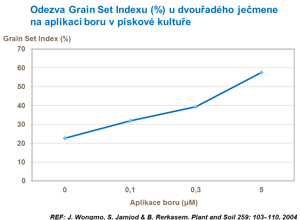 Odezva Grain Set indexu (%) u ječmene na poli bez dodaného boru a v půdě s aplikací boru